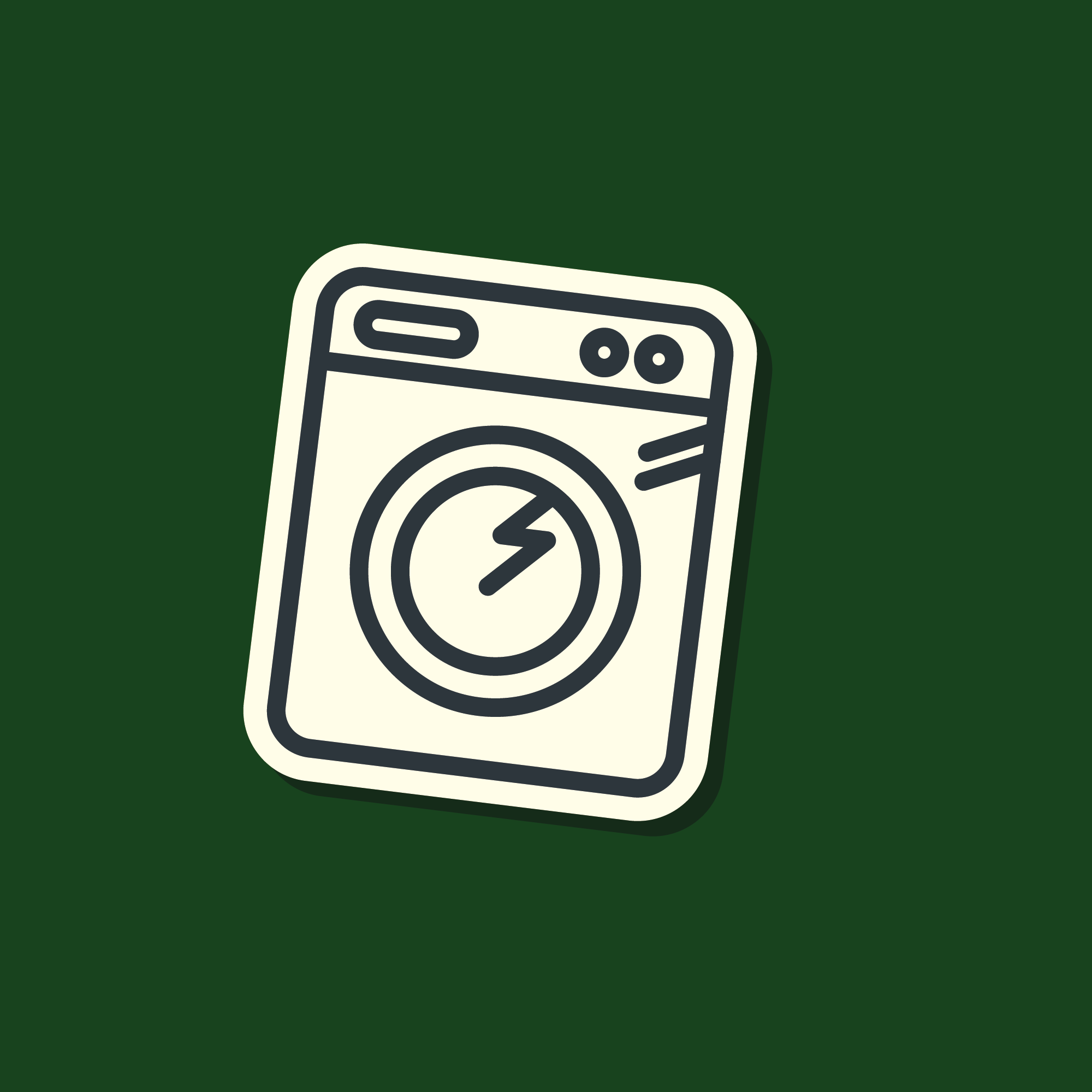 Large Domestic Appliance