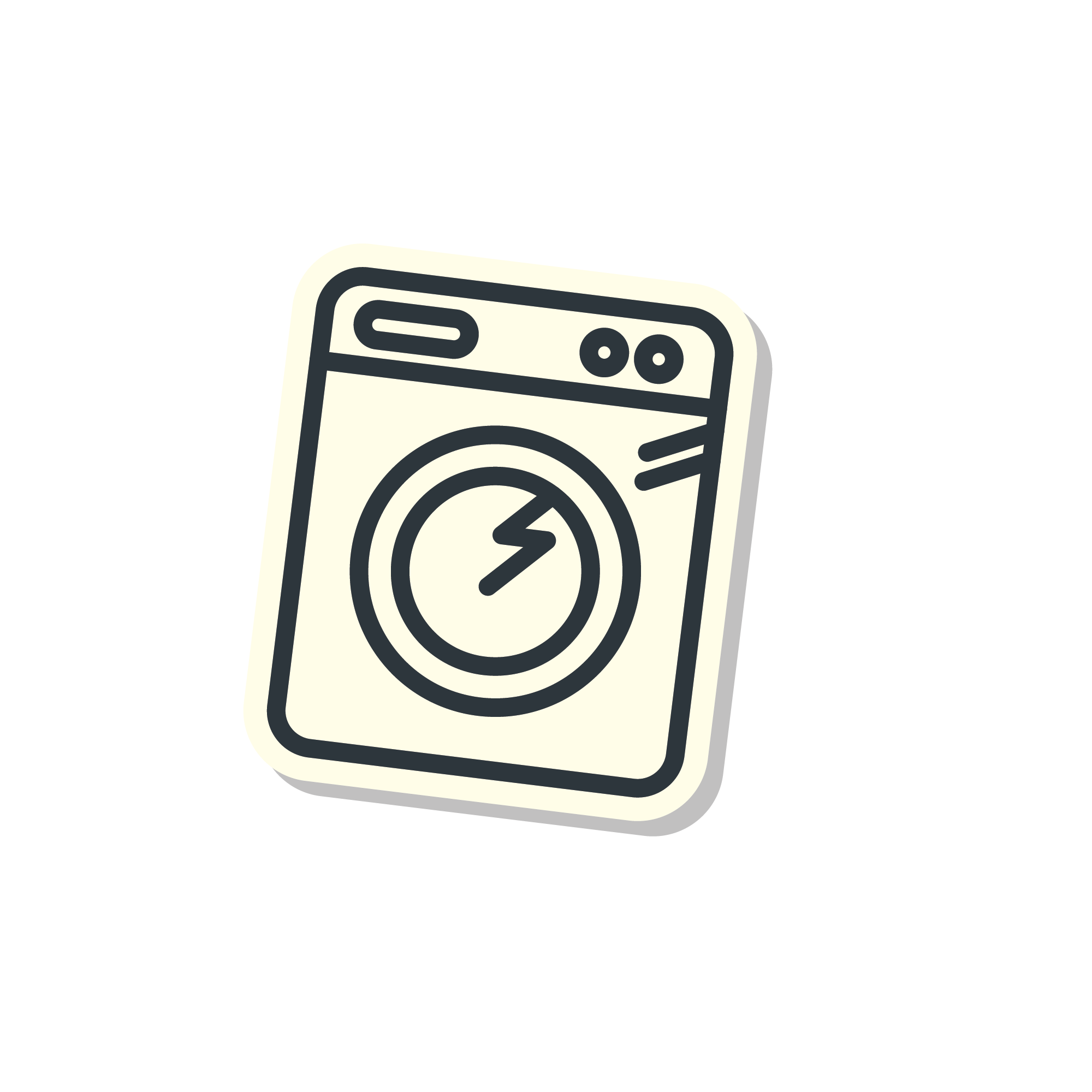 Large Domestic Appliance